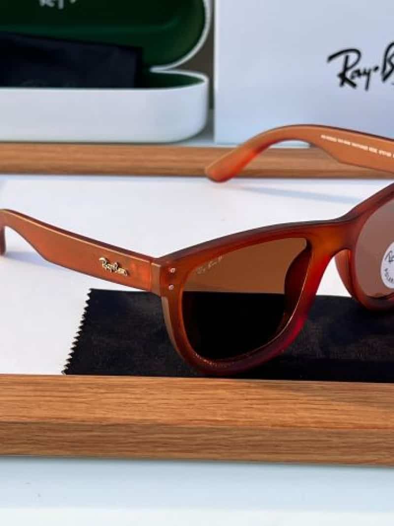 raybann 0502 brown